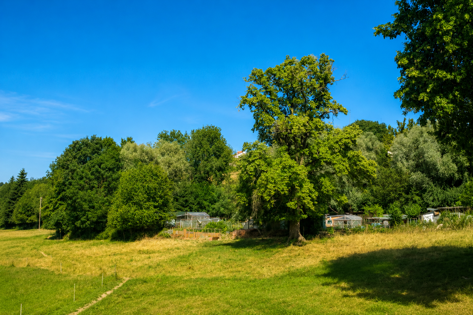 Romont – Parcelle agricole idéalement située à deux pas de la gare